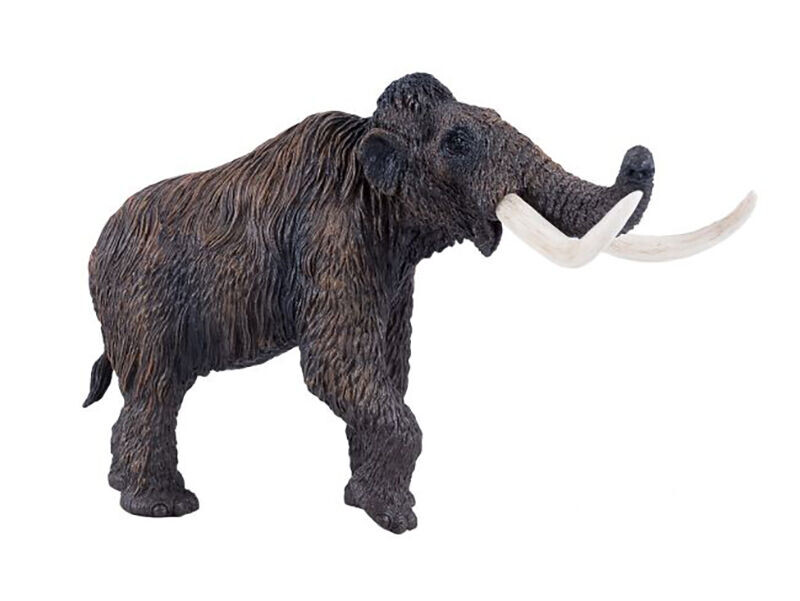 Mojo Mamut srstnatý